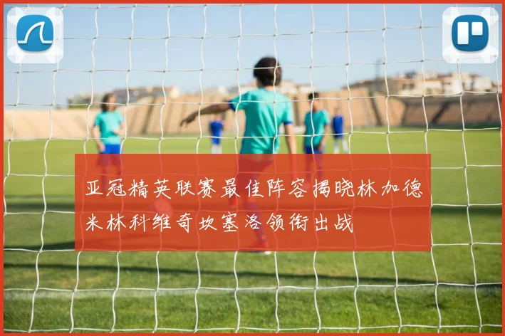亚冠精英联赛最佳阵容揭晓林加德米林科维奇坎塞洛领衔出战