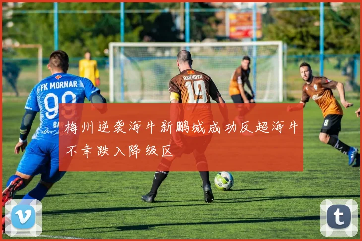 梅州逆袭海牛新鹏城成功反超海牛不幸跌入降级区