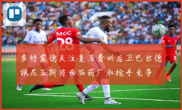 多特蒙德关注皇马青训后卫巴尔德佩尼亚斯将面临药厂和枪手竞争
