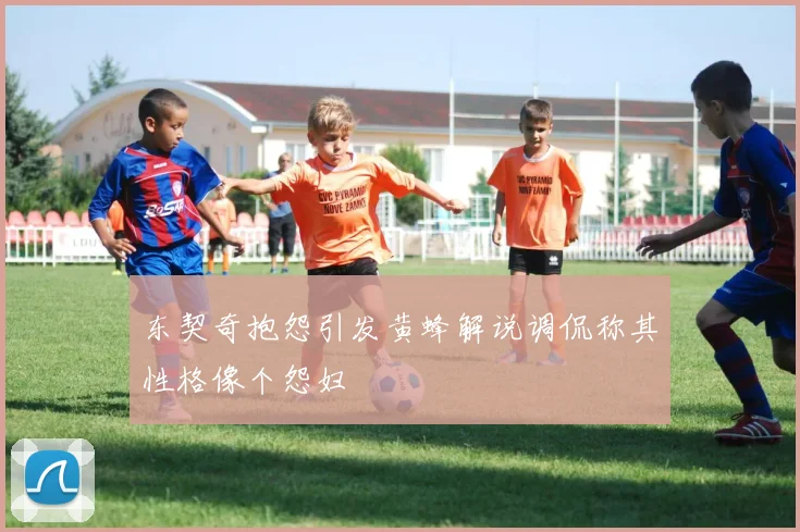 东契奇抱怨引发黄蜂解说调侃称其性格像个怨妇