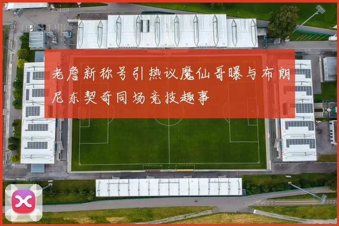老詹新称号引热议魔仙哥曝与布朗尼东契奇同场竞技趣事